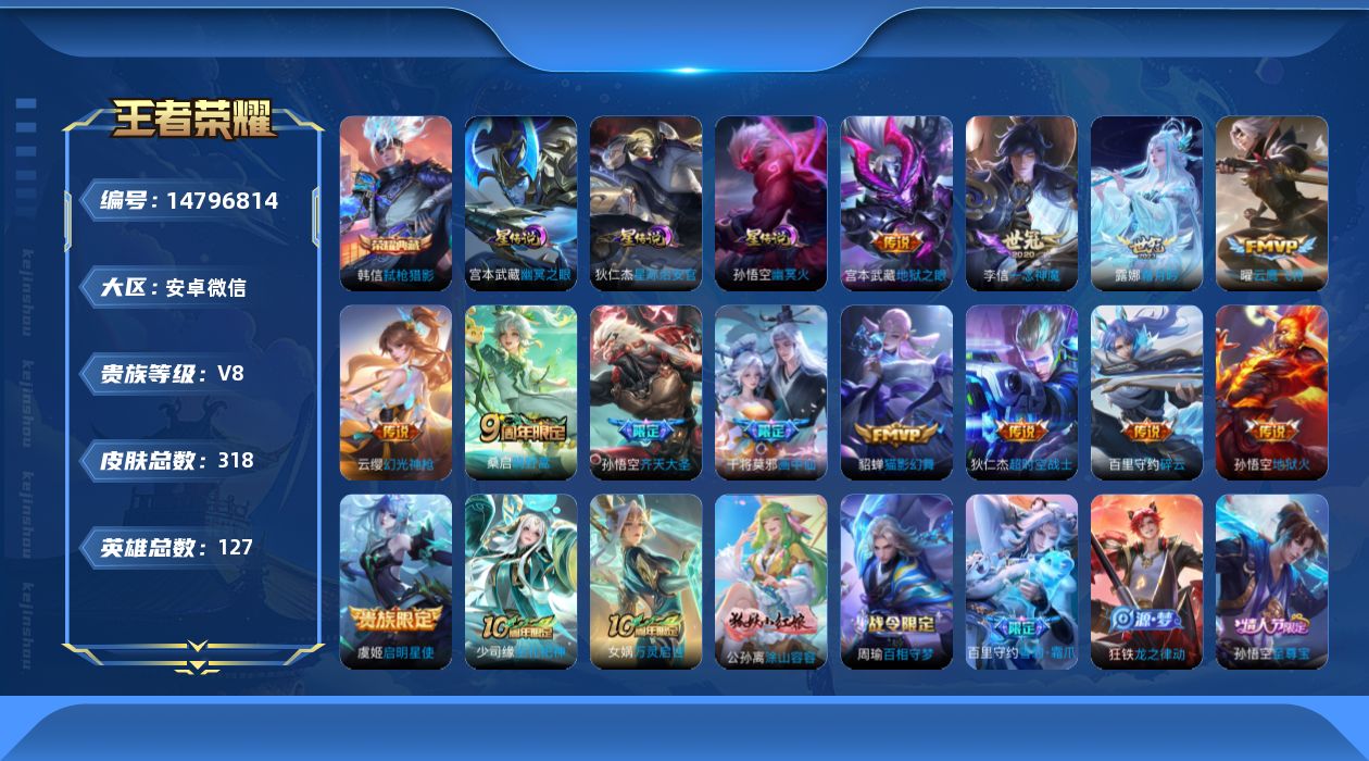 WZQM3457930王者荣耀账号详情图14