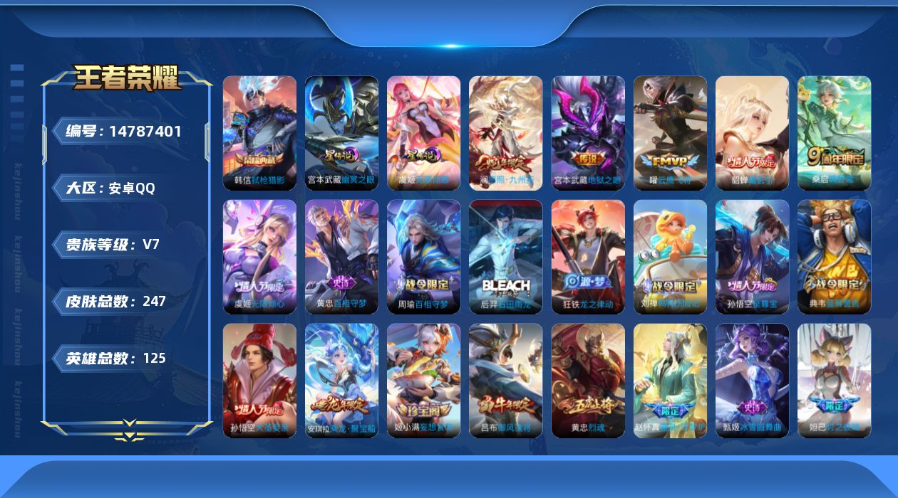 WZQM3466153王者荣耀账号详情图17