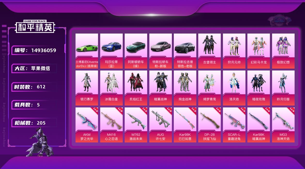 和平精英账号苹果微信[14936059]14粉装 12特效枪 5载具 11印记 可二次 可修改实名 有社交场景限制
【热
