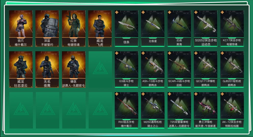 SJZQM398353三角洲行动账号详情图3