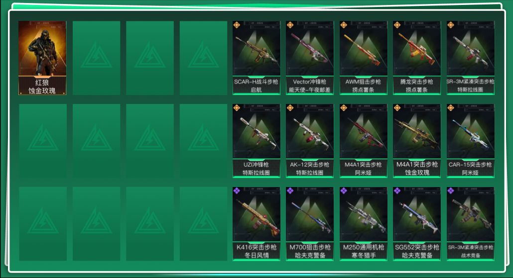 SJZQM3100289三角洲行动账号详情图3