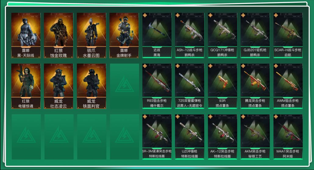 SJZQM3102957三角洲行动账号详情图3