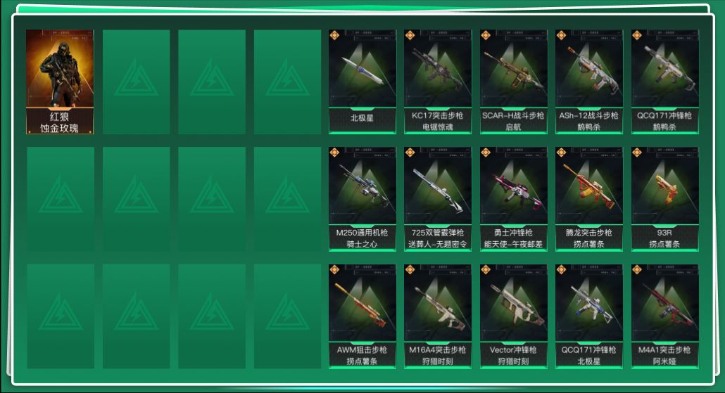 SJZQM3103002三角洲行动账号详情图3