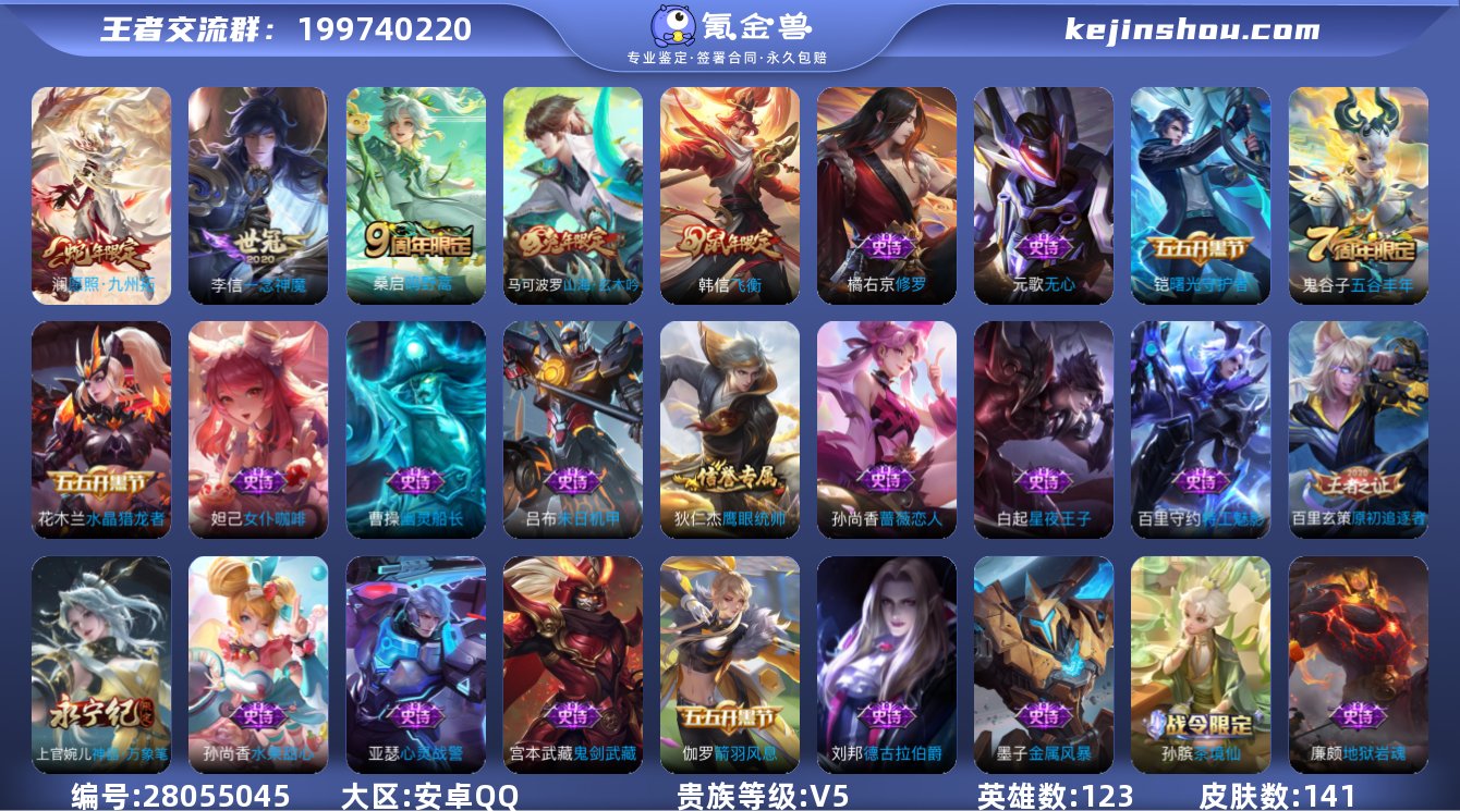 贵族V5 传说皮肤3 史诗皮肤31 皮肤数...