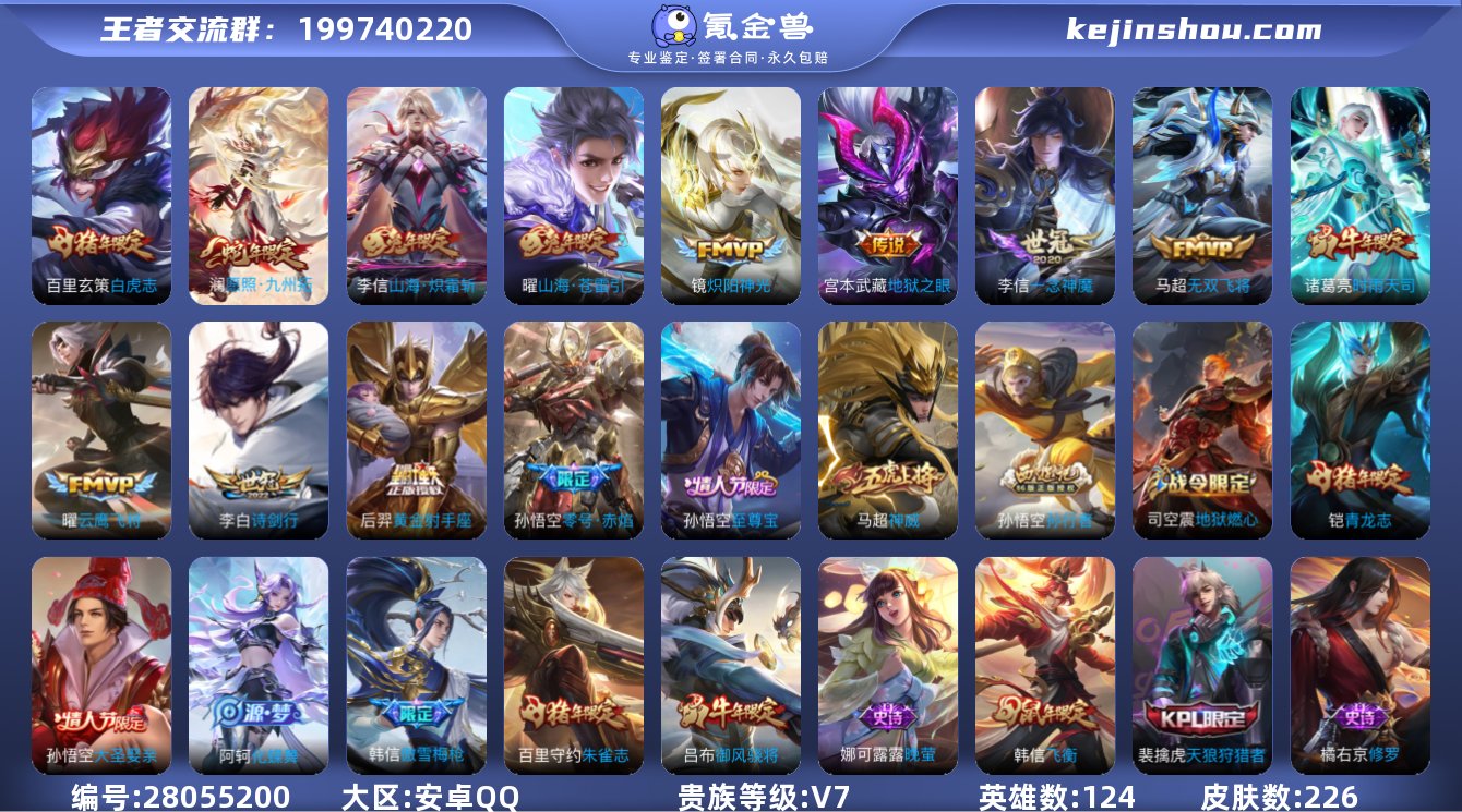 贵族V7 传说皮肤13 史诗皮肤60 皮肤...