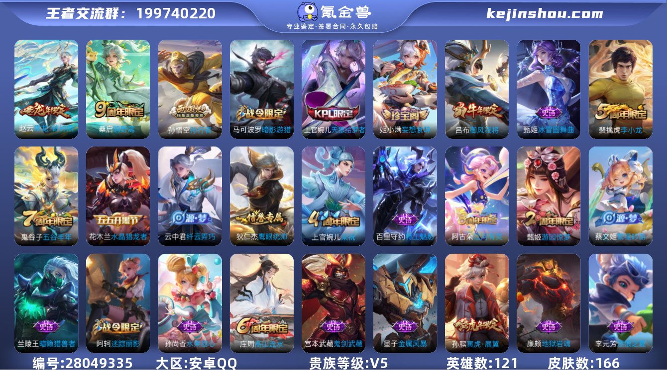 贵族V5 传说皮肤2 史诗皮肤35 皮肤数...