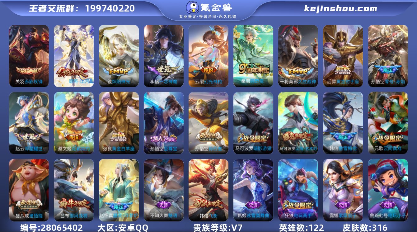 V7 1典藏 11传说 316皮肤 122...
