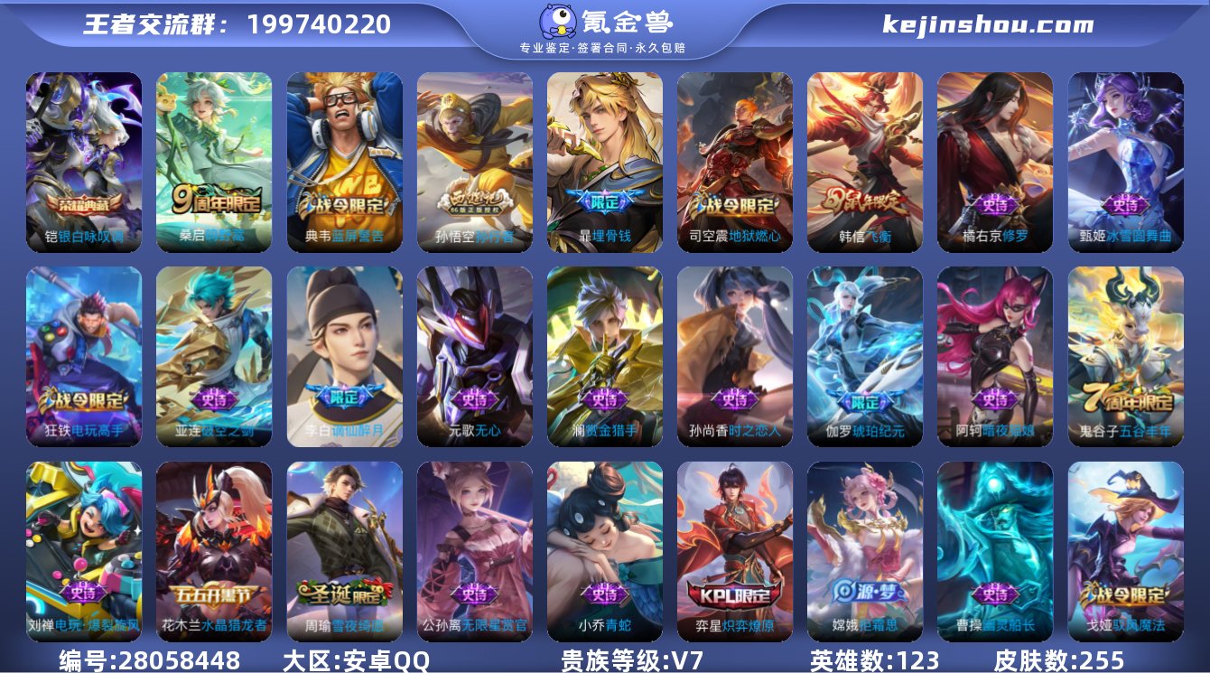 贵族7/皮肤255/典藏1/传说1/史诗6...