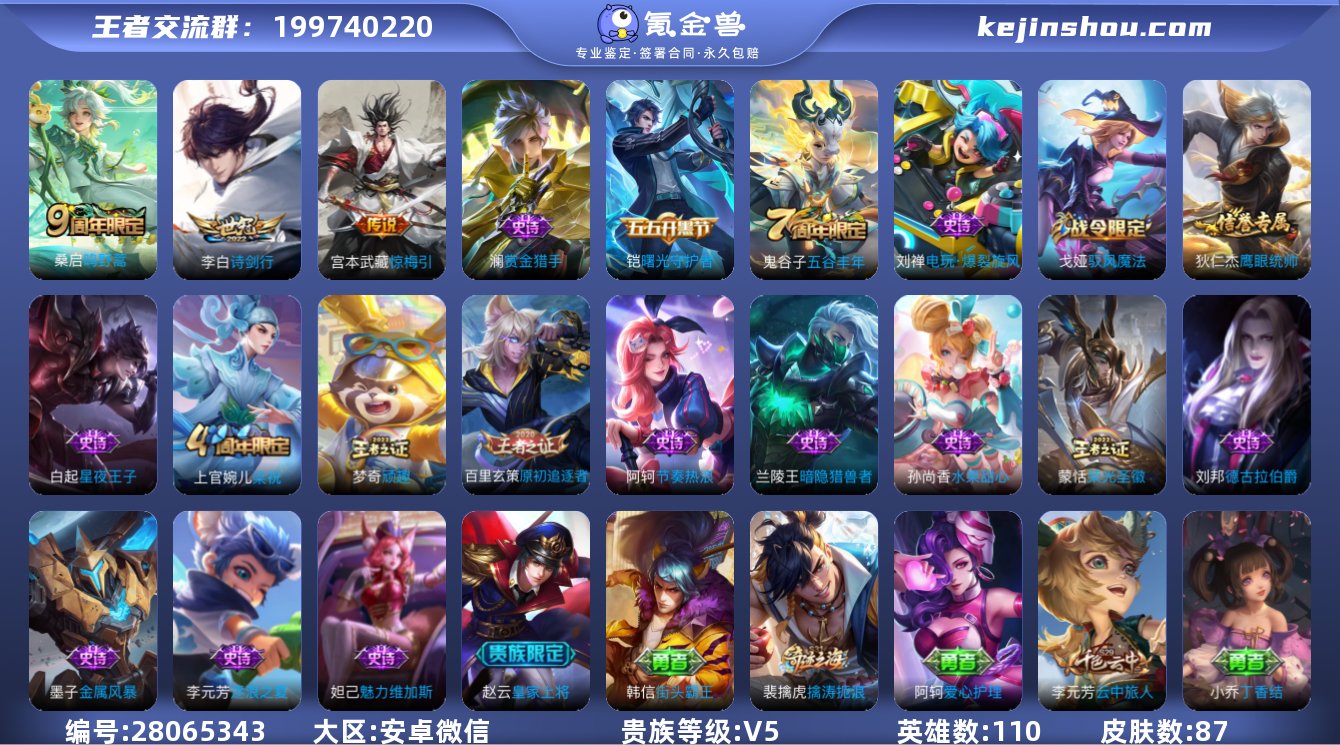 V5 3传说 87皮肤 110英雄 【3传...
