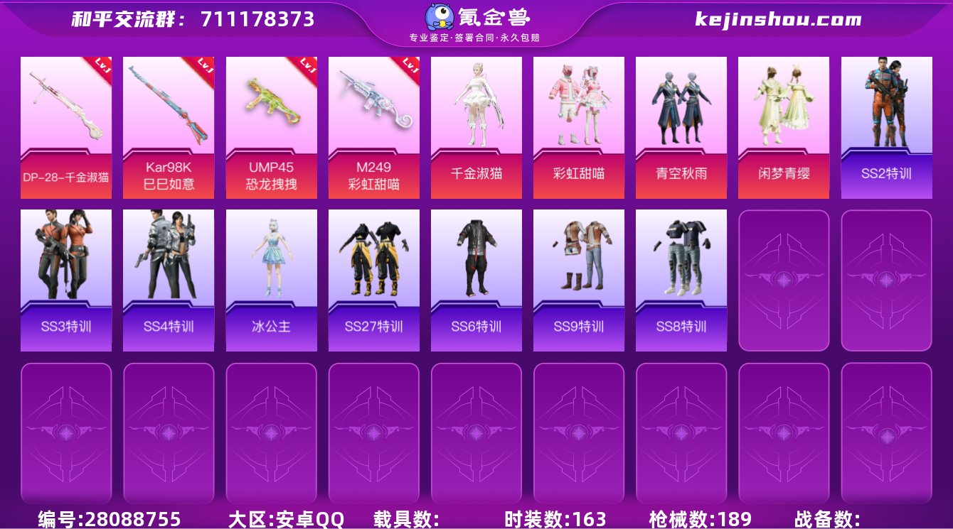 4粉装 4粉枪 163套装 189枪皮 1...