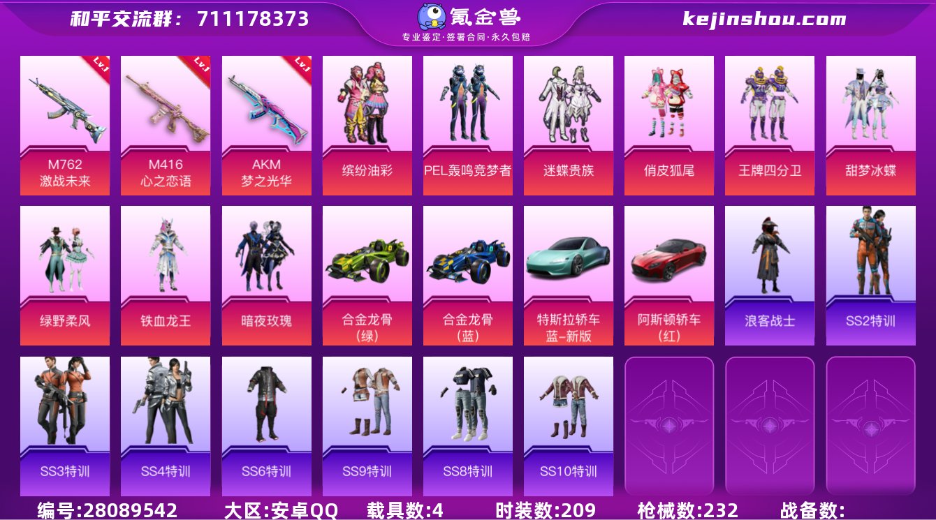 9粉装 3粉枪 4载具 1稀有装备 209...