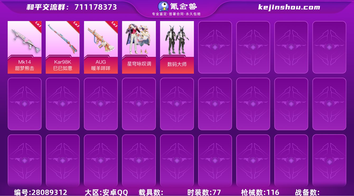 2粉装 3粉枪 77套装 116枪皮  数...
