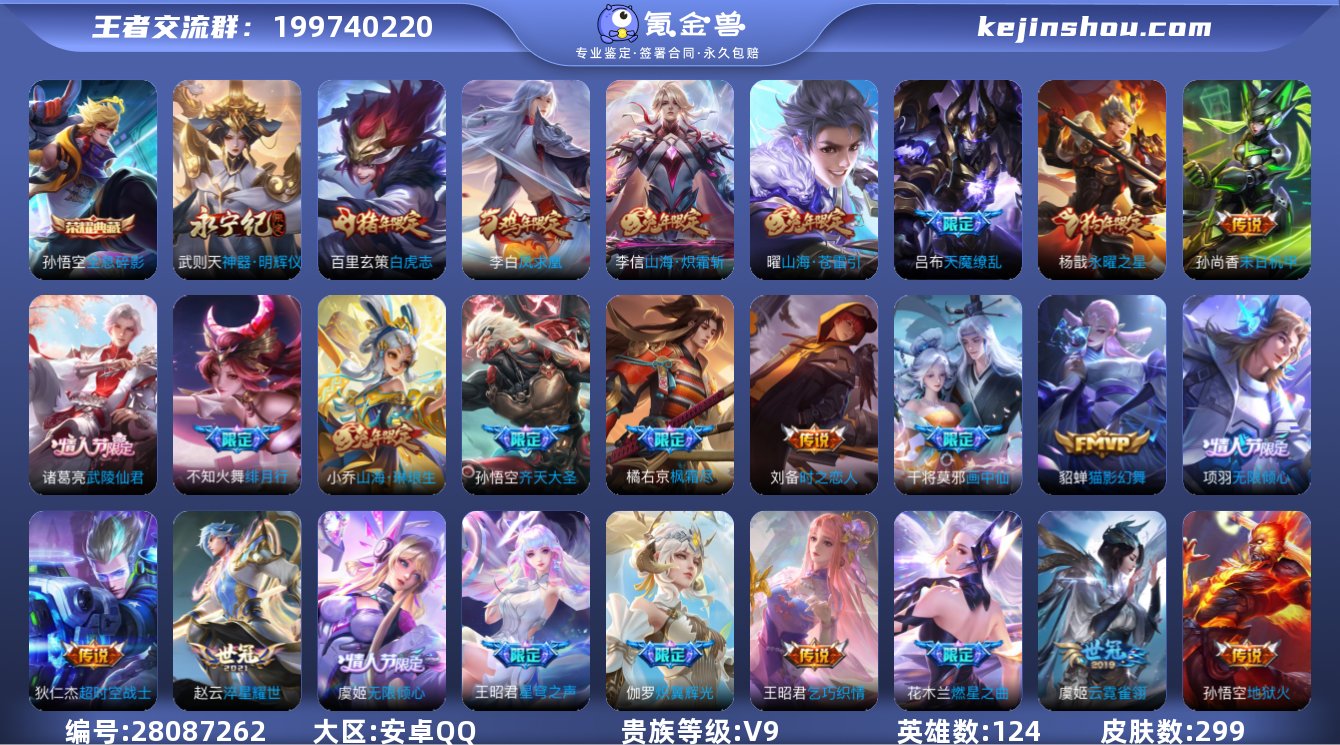 V9 299皮 1无双 1典藏 28传说 ...
