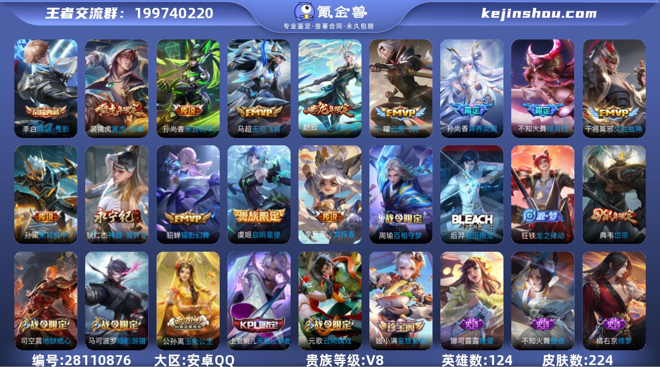 V8 1典藏 13传说 1星元 224皮肤...