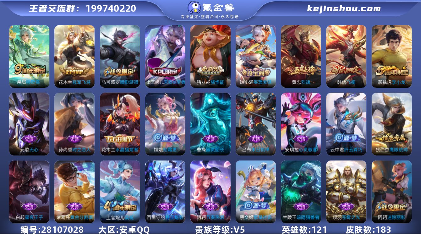 贵族V5 传说皮肤2 史诗皮肤42 皮肤数...