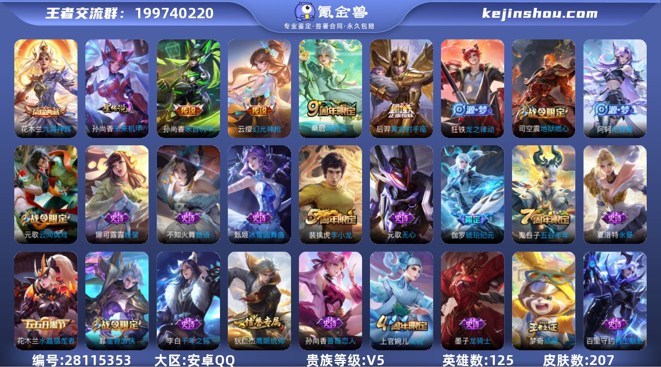 V5-207皮肤-1典藏-4传说-47史诗...