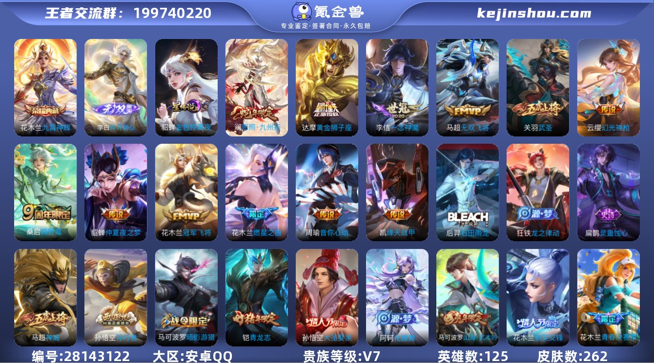 可换绑【战士号，全皮花木兰，银标花木兰7千...