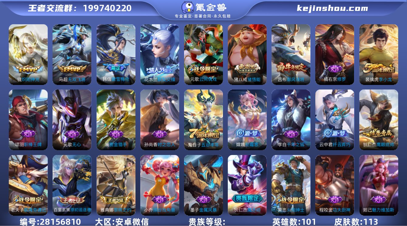 sx046【VX功能限制介意勿拍】113皮...