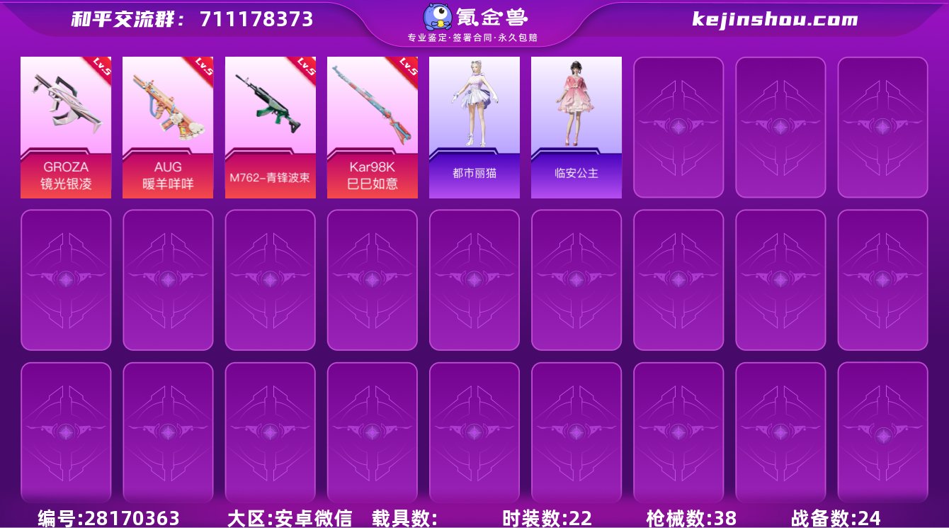 22套装/枪械4/装备45/战备24/王牌...