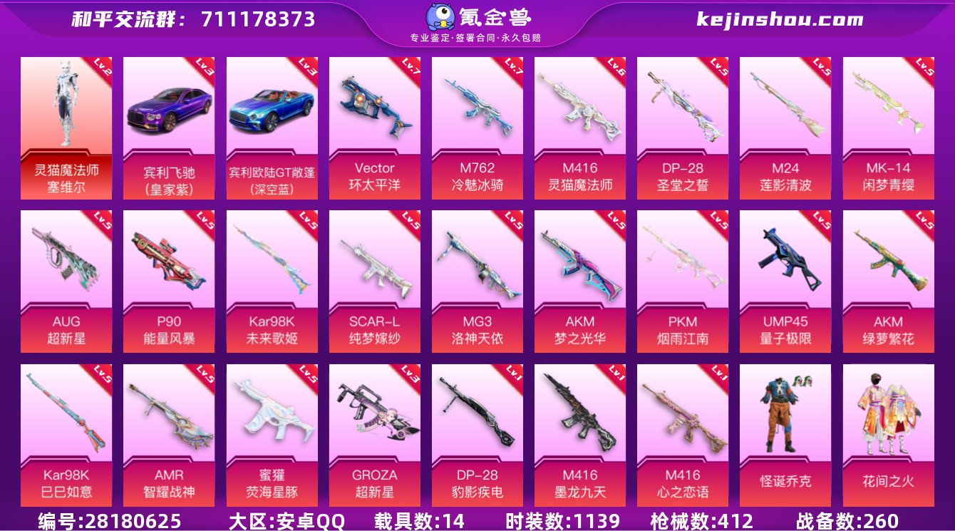 实名:可修改 时装数:1139 载具数:1...