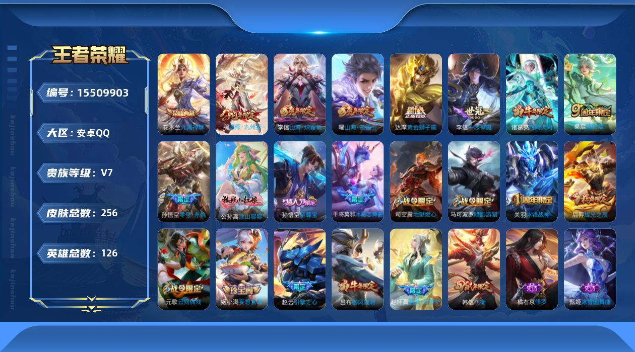 WZQM439869王者荣耀账号详情图13