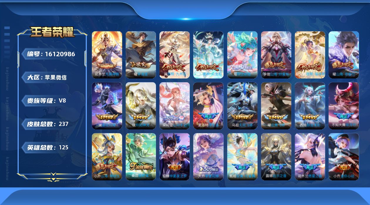 WZQM493308王者荣耀账号详情图16 WZQM493308王者荣耀账号详情图16