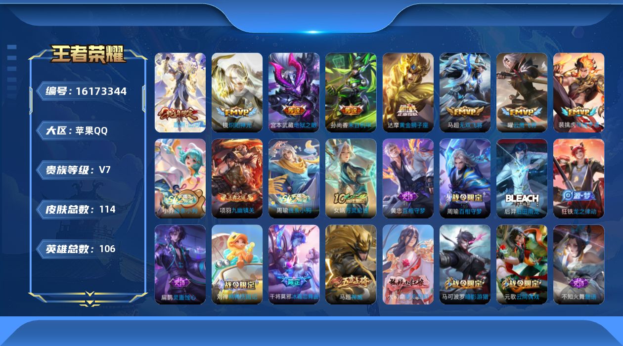 WZQM496245王者荣耀账号详情图13