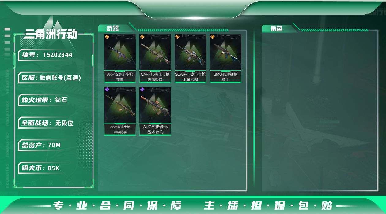 三角洲行动账号VX总资产(M)：69.9M/哈夫币(K)：：水墨云图，AK-12突击步枪-夜鹰，SCAR-H战斗步枪-