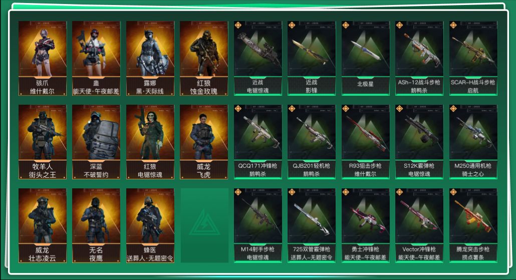 SJZQM46309三角洲行动账号详情图3