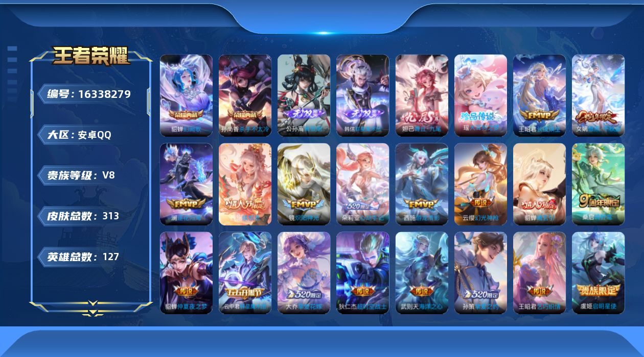 WZQM4110095王者荣耀账号详情图19