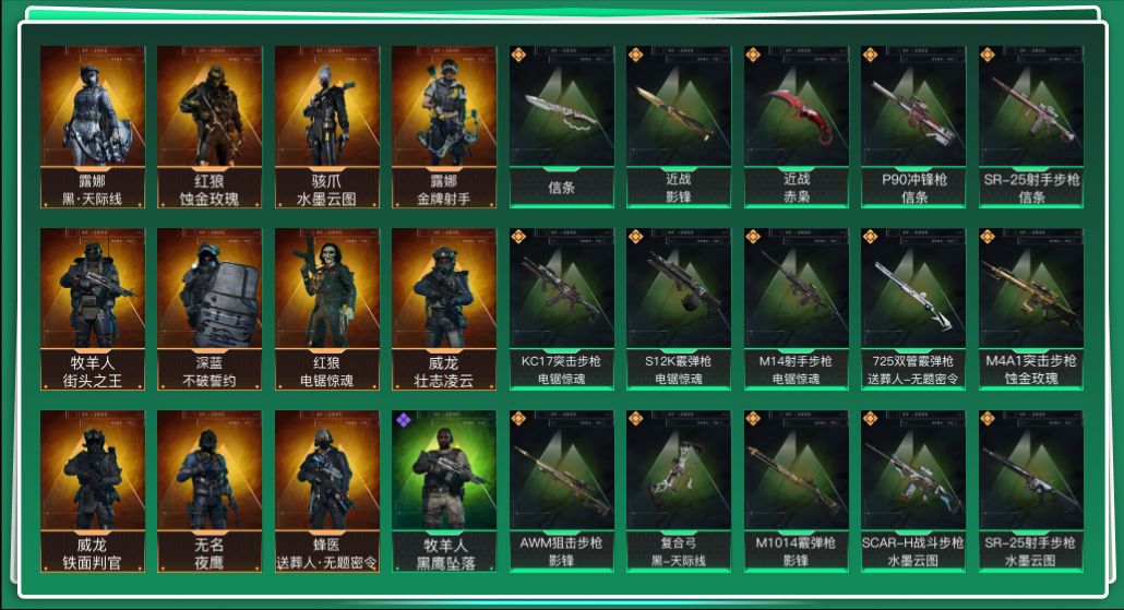 SJZQM434121三角洲行动账号详情图3