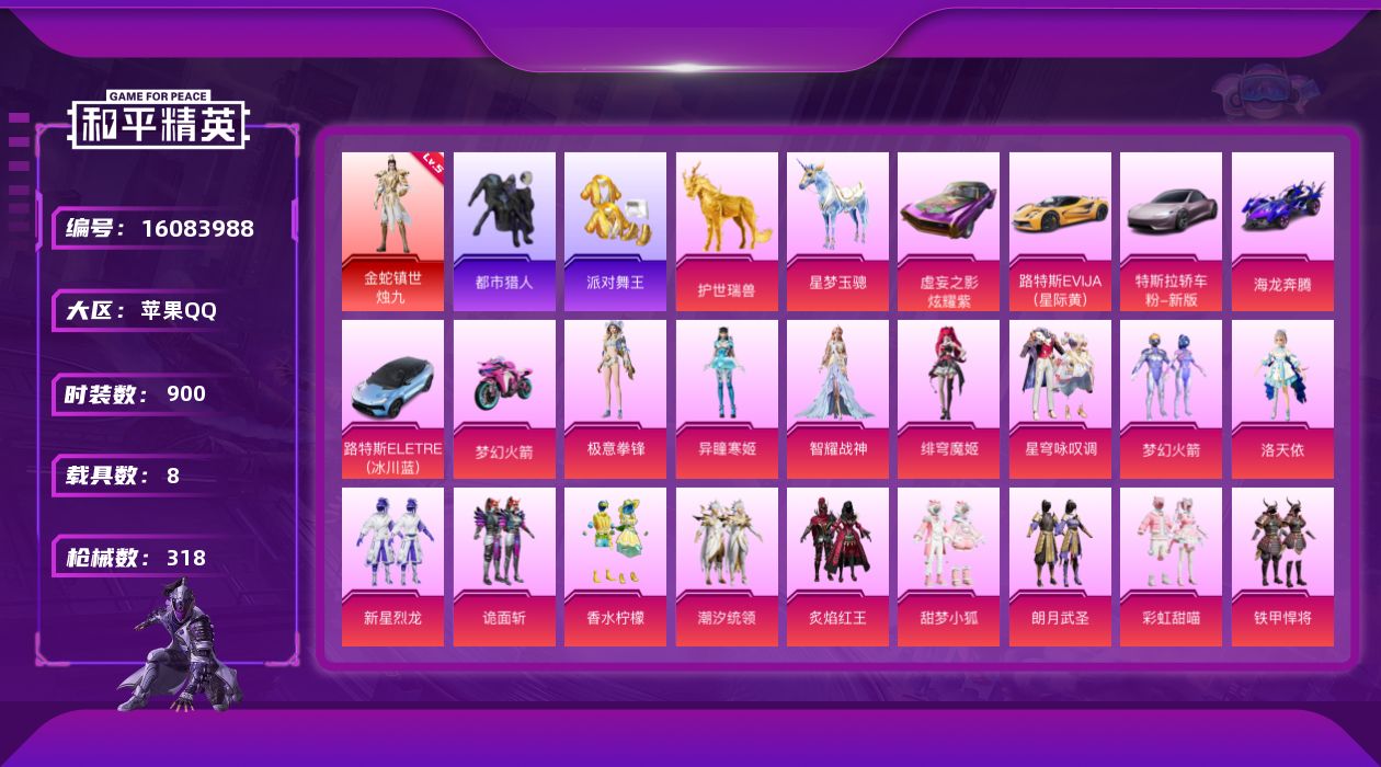 和平精英账号苹果QQ8载具-240套装-318枪皮-烛九5级 巡查衣 都市猎人 金鞋子 猪妹1红装5稀有9载具19粉装1