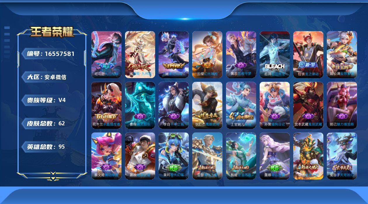 WZQM4133953王者荣耀账号详情图13