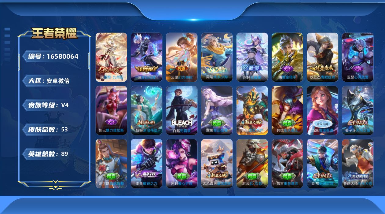 WZQM4139908王者荣耀账号详情图12