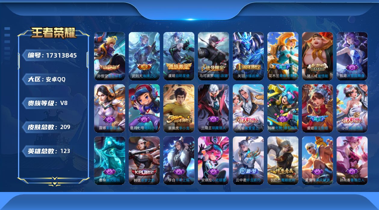 WZQM4204687王者荣耀账号详情图16